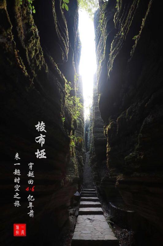 逃离废弃高校